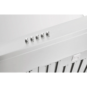 Schweigen 120cm BBQ Canopy Rangehood with Twin On Board Motors CL6272